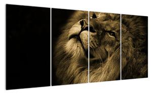 Obraz lva (160x80cm)