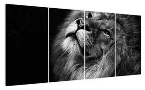 Obraz lva (160x80cm)
