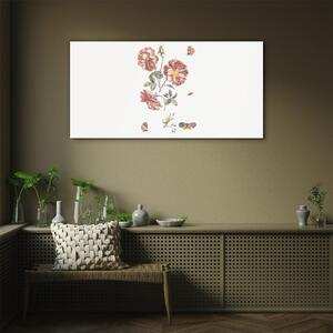 Obraz na skle Obraz na skle Květiny motýlské rostliny
