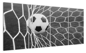 Fotbalový míč v síti - obraz (160x80cm)