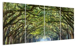 Aleje stromů - obraz (160x80cm)