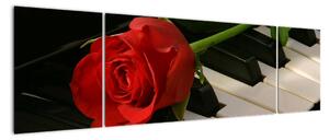 Obraz růže na klavíru (170x50cm)