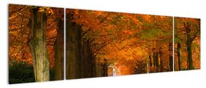Obraz - cesty lesem na podzim (170x50cm)