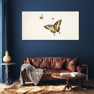Obraz na skle Obraz na skle Moderní bug hmyz motýl