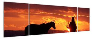 Obraz - koně při západu slunce (170x50cm)
