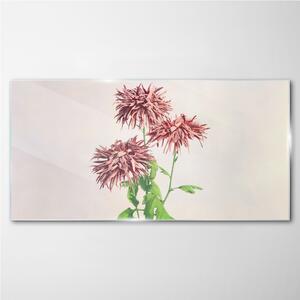 Obraz na skle Obraz na skle Květiny rostlin
