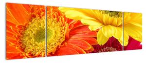 Obraz květů (170x50cm)