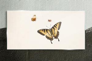 Obraz na skle Obraz na skle Moderní bug hmyz motýl