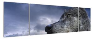Obraz vlka (170x50cm)