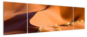 Obraz pouštích dun (170x50cm)