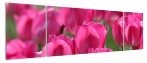 Obraz tulipánů (170x50cm)