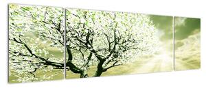 Jarní strom - moderní obraz (170x50cm)