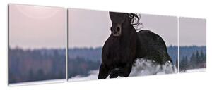 Obraz koně ve sněhu (170x50cm)