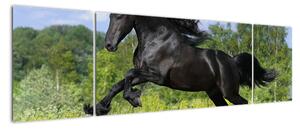 Obraz koně (170x50cm)