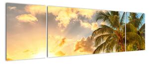 Obraz palmy na písečné pláži (170x50cm)
