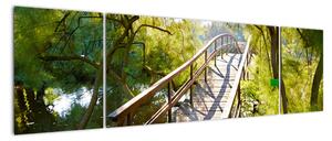 Moderní obraz - most přes vodu (170x50cm)