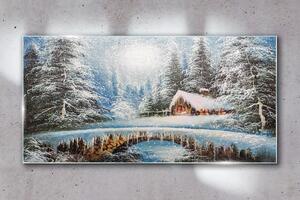 Obraz na skle Obraz na skle Zimní sníh lesní příroda