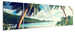 Obraz palem na pláži (170x50cm)