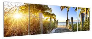 Moderní obraz do bytu - tropický ráj (170x50cm)