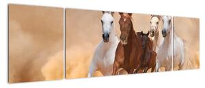 Obrazy běžících koní (170x50cm)