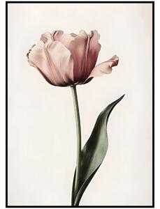 Jen tak z lásky Plakát Tulipán Rozměr plakátu: A4 (21 x 29,7 cm)