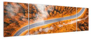 Cesta lesem - moderní obrazy na zeď (170x50cm)