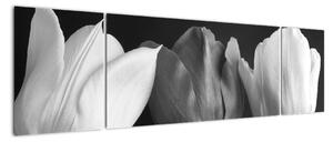 Černobílý obraz - tři tulipány (170x50cm)