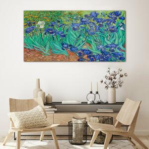 Obraz na skle Obraz na skle Van Gogh Irises