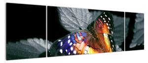 Motýl na listu - obraz (170x50cm)