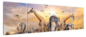 Obraz - safari (170x50cm)