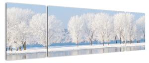 Obraz - zimní příroda (170x50cm)