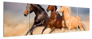 Moderní obraz koní (170x50cm)