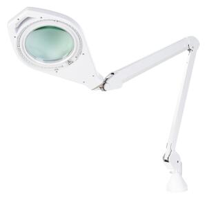 Livarno home LED lampa s lupou (100379824)