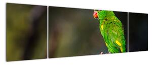 Obraz zeleného papouška (170x50cm)