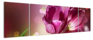 Obraz tulipánů (170x50cm)