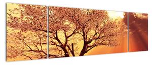 Obraz stromu (170x50cm)