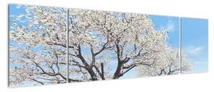 Obraz kvetoucího stromu na jarní louce (170x50cm)