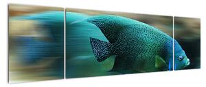 Obraz na stenu - ryby (170x50cm)