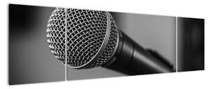 Obraz mikrofonu (170x50cm)