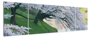 Obraz kvetoucích stromů (170x50cm)