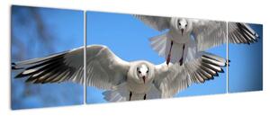 Obraz do bytu - ptáci (170x50cm)