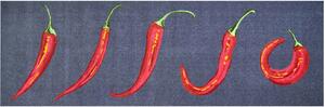 GRUND Rohožka do domácnosti HOT CHILI šedá Rozměr: 60x180 cm