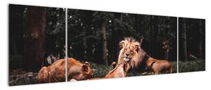 Obrazy - lvi v lese (170x50cm)