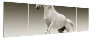 Obrazy bílého koně (170x50cm)