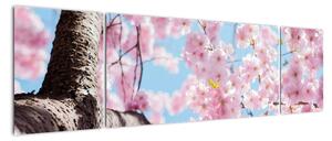 Kvetoucí strom - obraz (170x50cm)