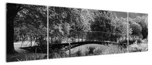 Černobílý most - obraz (170x50cm)
