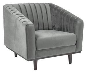 Křeslo Asprey Velvet 1, šedá