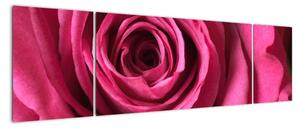 Obraz růžové růže (170x50cm)