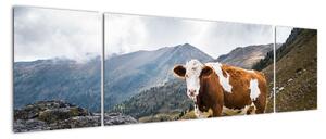 Obraz krávy na louce (170x50cm)