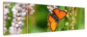 Moderní obraz motýla na louce (170x50cm)